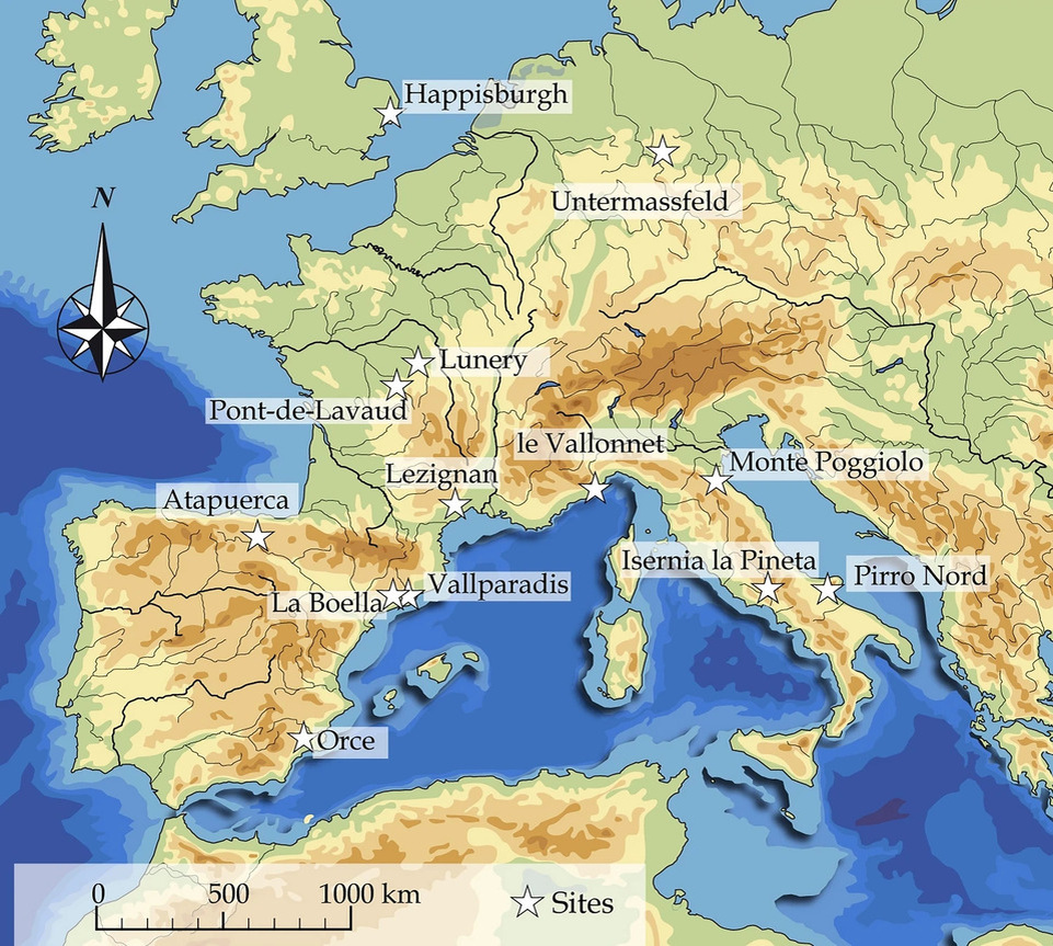   Jackie Despriée et al. / Scientific Reports, 2024