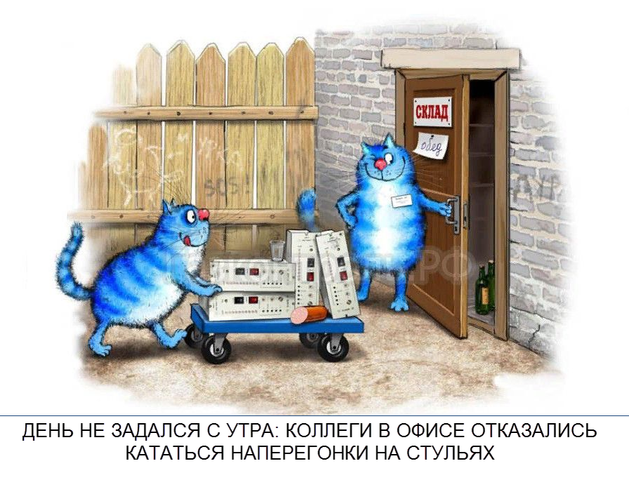 Включи синий кот играть. Включи синий кот играть. Котенок лайк. Иллюстрации ирины зенюк. Привет сосед кот.