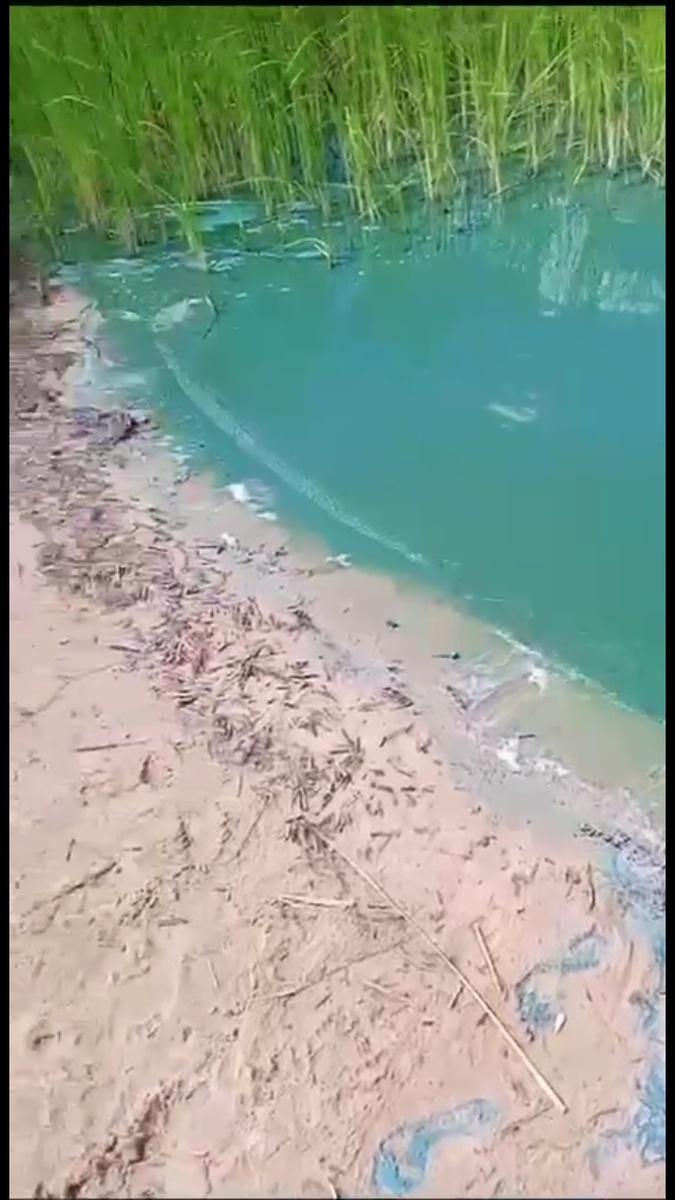 Скрин с видео