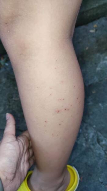 Фото из архива автора