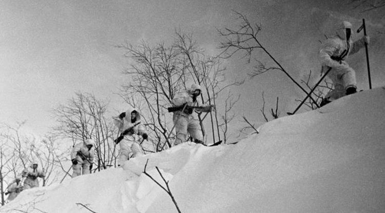 Советские лыжники, февраль 1943 год Фото: waralbum.ru