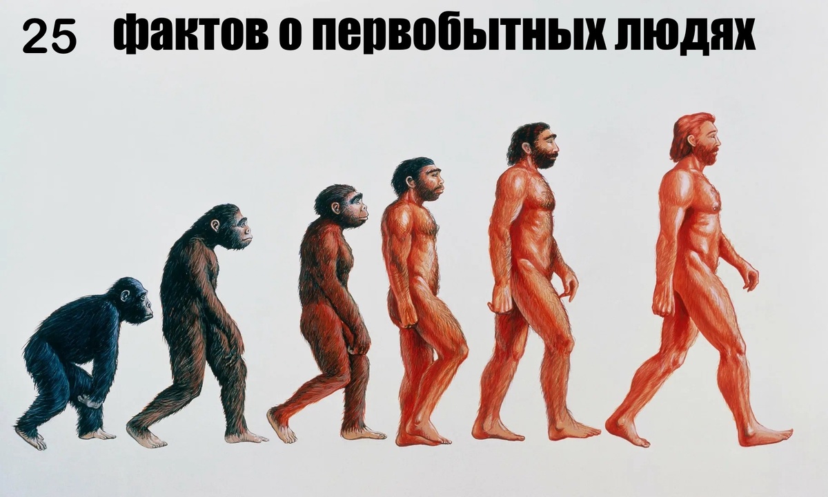 Интересные факто о первобытных людях 