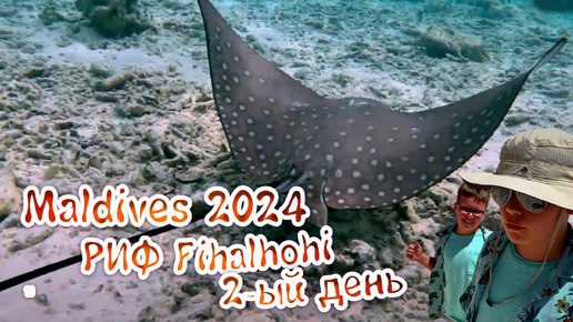 Maldives 2024 -риф Filhahohi 2-ой день