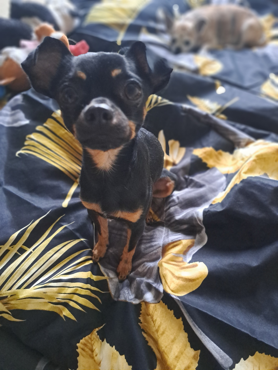 фото автора. Они готовы слушать вас 