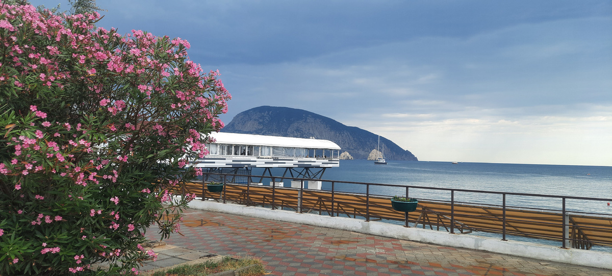 Олеандры на наберережной роскошны. Разве нет?