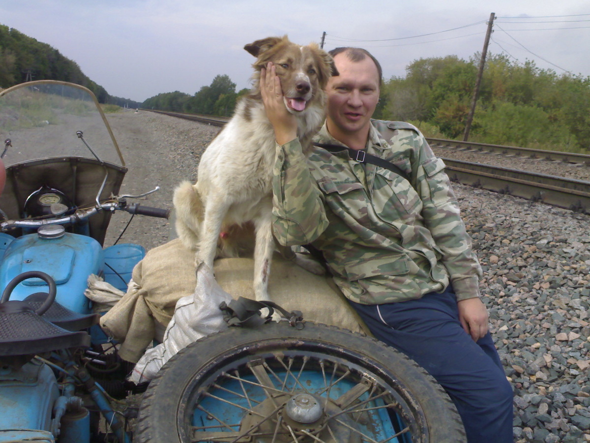 Загрузились с дачи урожаем картошки