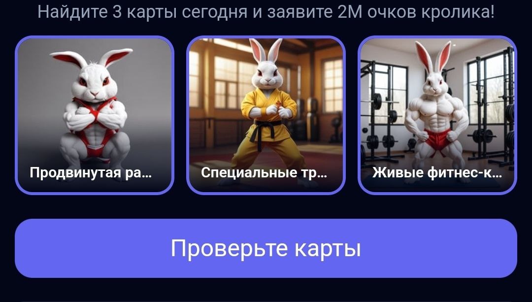 Комбо в Rocky Rabbit на 26.07.2024 г.