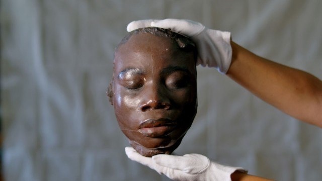 Кадр из фильма «Розинья и другие дикие животные» — программа документального фестиваля «Свободная мысль» в 2024 году