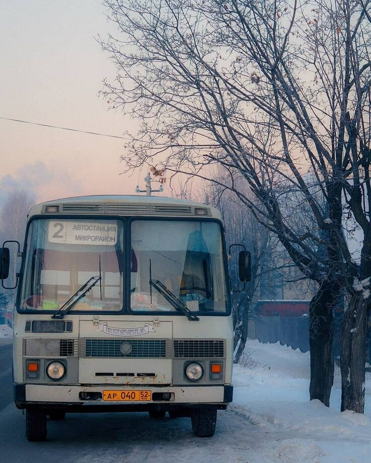 фото с сайта: https://ru.pinterest.com/pin/577586720971665057/