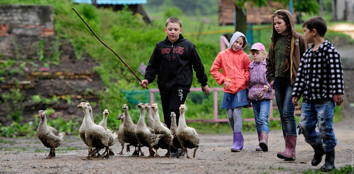 Фото: Юрий Смитюк/ТАСС