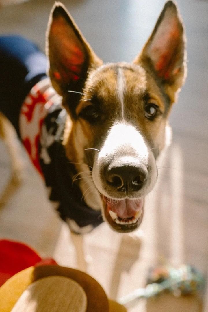 Фото: предоставлено Наталией Макарчук