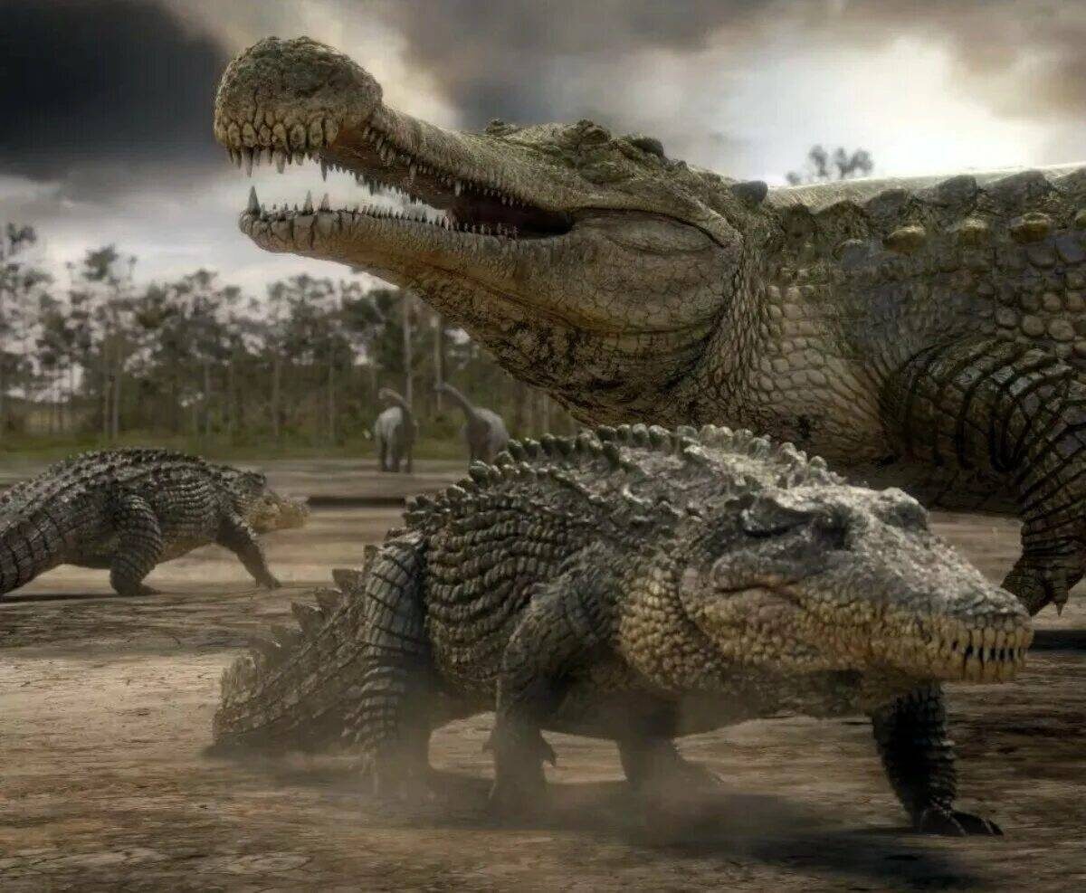 Саркозух и мелкие крокодилы.
