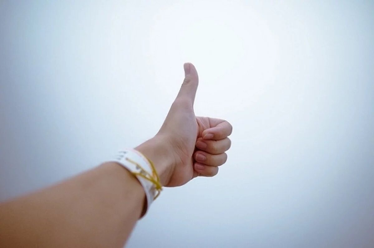    Жителя Ярославской области просят наградить за спасение женщины от алабая