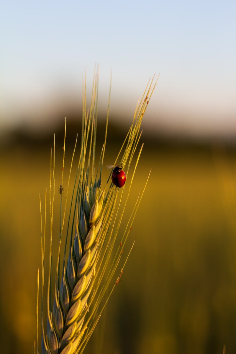 Как же без фотографии