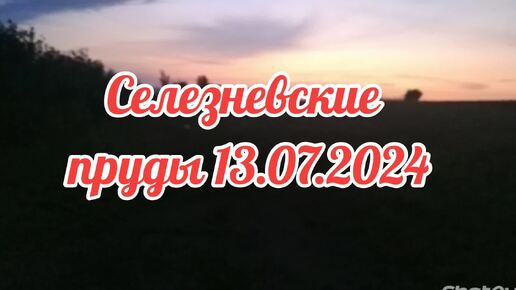 Селезневские пруды 13.07.2024