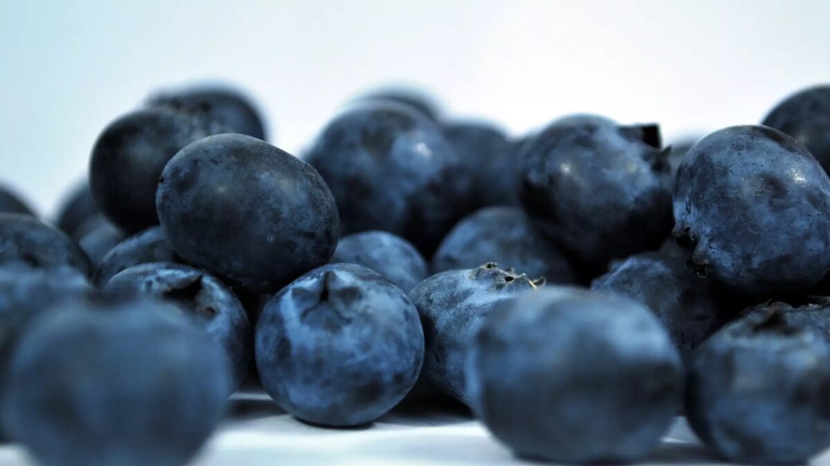     Источник: pxhere.com