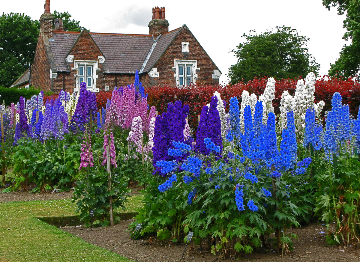 Фото: hameleone.ru