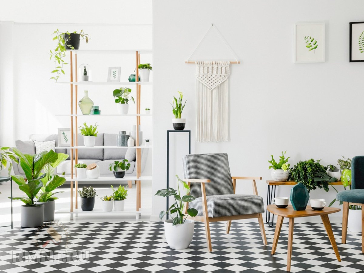   Фото homedit.com