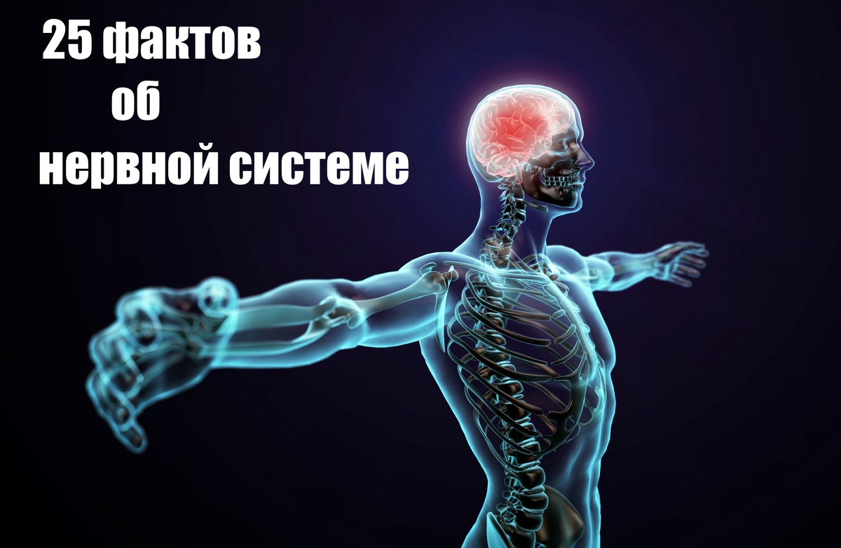 Полезно знать!