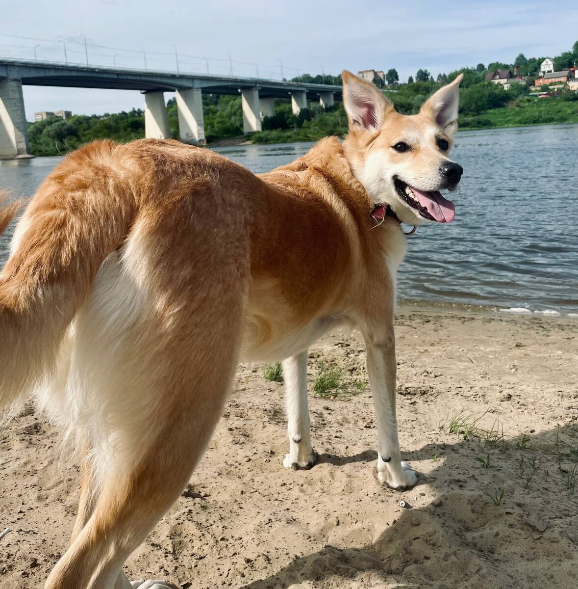 Фиби на отдыхе