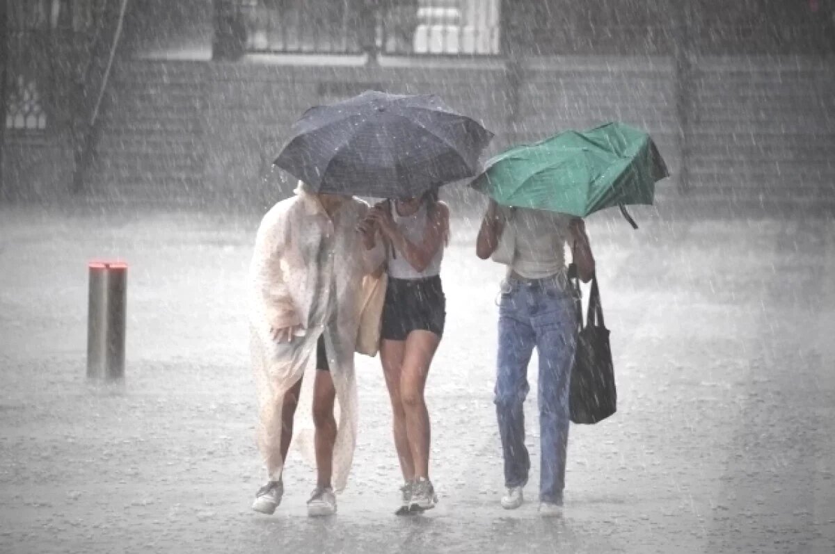    МЧС просит жителей Башкирии отказаться от поездок и турпоходов