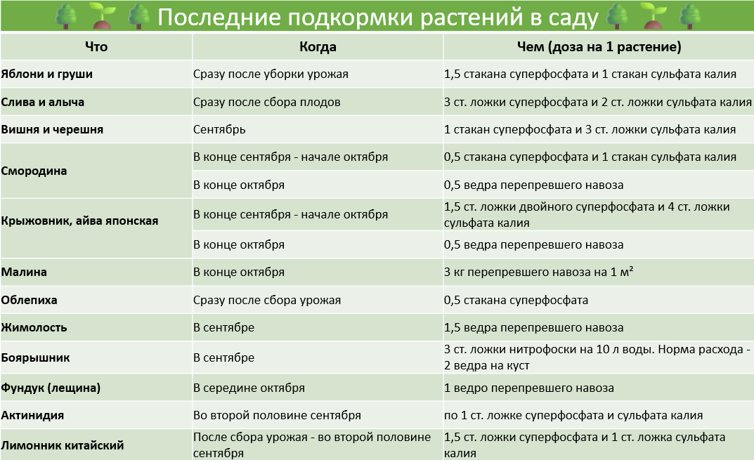 Последние подкормки растений в саду