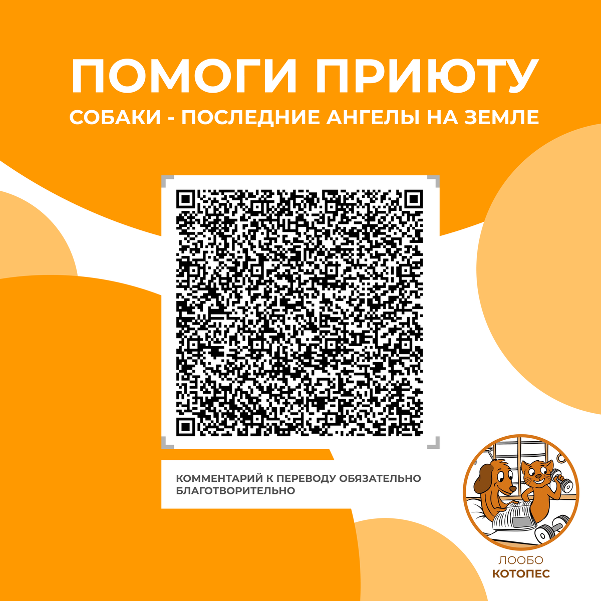 Ленинградская областная общественная благотворительная организация КОТОПЕС, к ней относится приют Келтсские ангелы