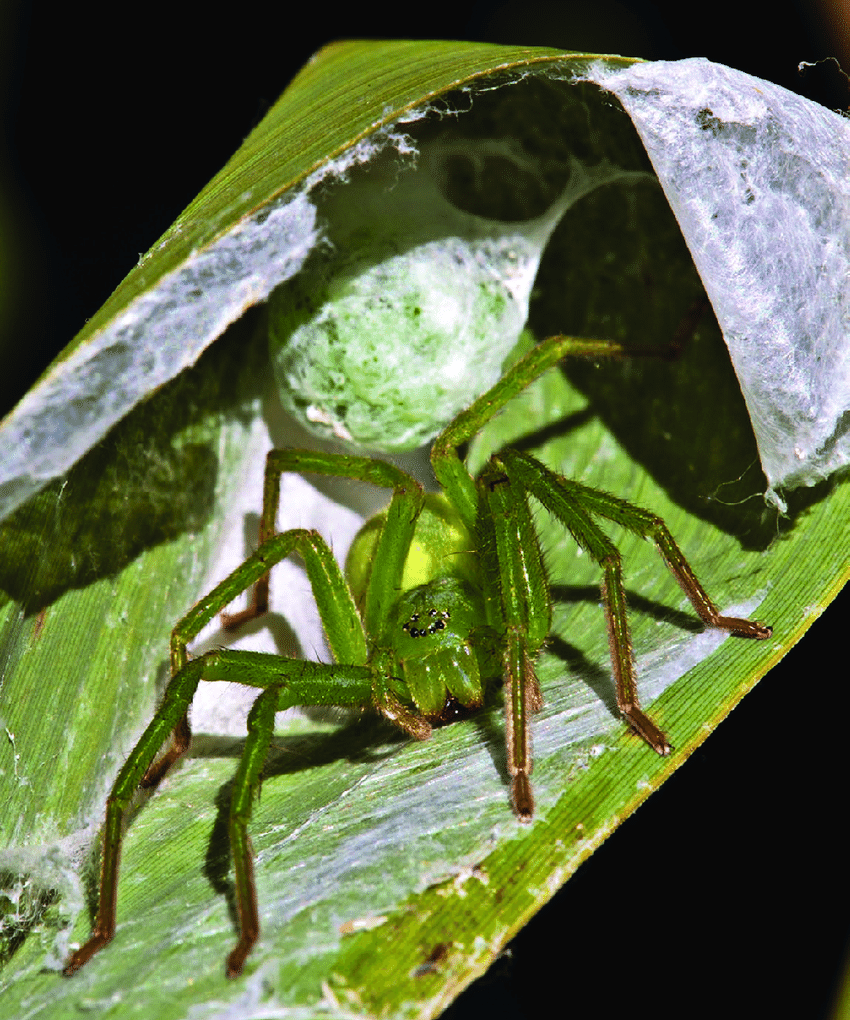 Какие необычные обои в детской... 