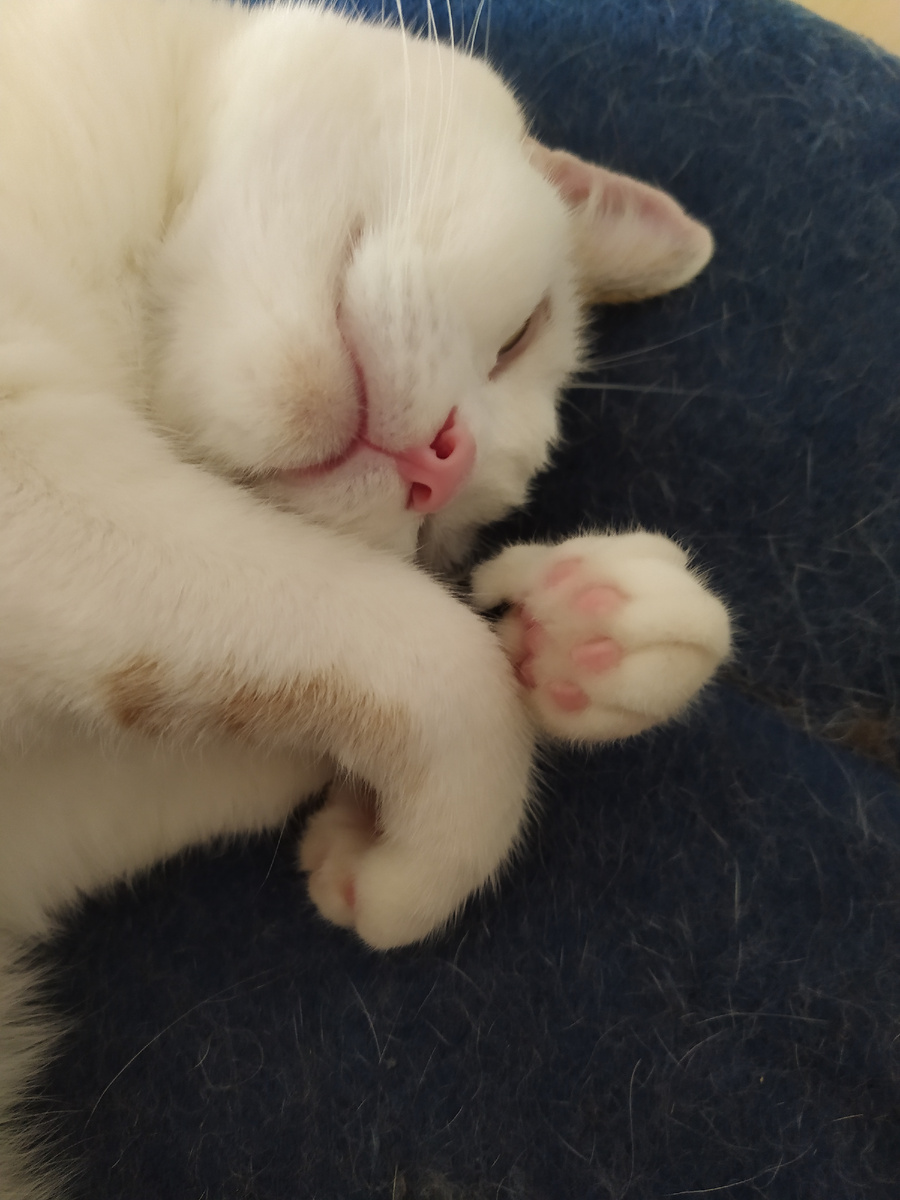 Манюша по-кустодиевски