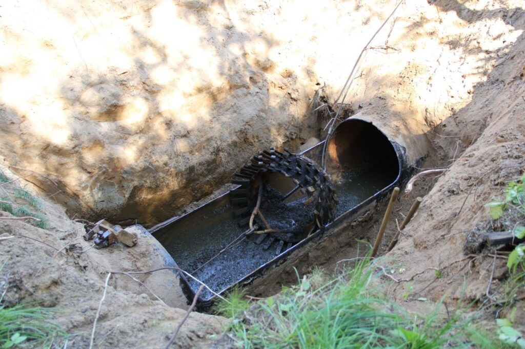    Фото: НОВОГОР Елена Воробьева