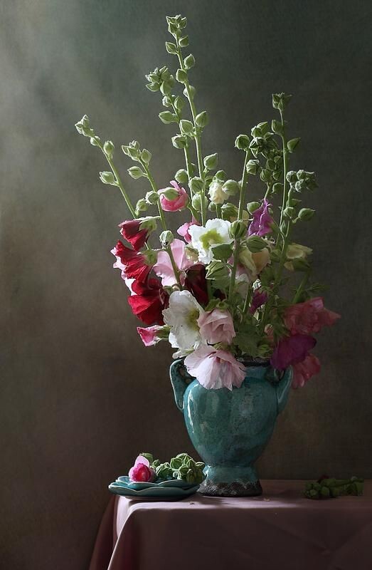 Картинка найдена на просторах интернета, ссылка https://yandex.ru/images/search?from=tabbar&img_url=https%3A%2Fi%2F.pinimg.com%2Foriginals%2Fa8%2F34%2Fа3f%2Fa83р43f81851с2879b5e7bd53274cf0591a19.jpg&lr=47&pos=15&rpt=simage&text=%D1%86%D0%B2%D0%B5%D1%82%D1%8B%20%D0%BA%D1%80%D1%83%D0%BF%D0%BD%D0%BE%20%D1%84%D0%BE%D1%82%D0%BE 