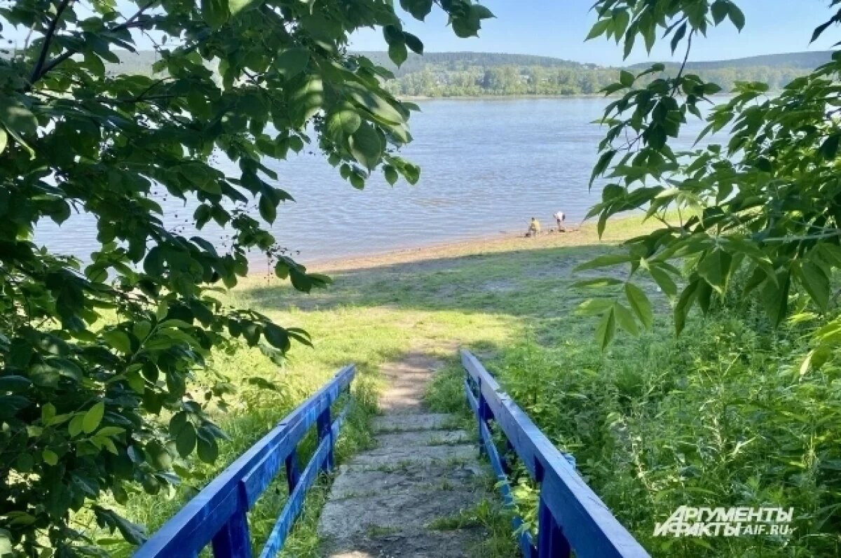    Нижегородцы пожаловались Бастрыкину на загрязнение Борзовки