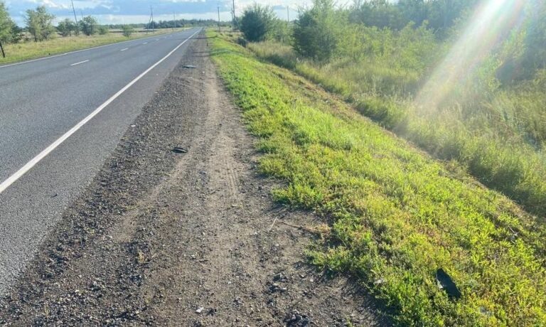    На трассе «Оренбург-Илек» водитель насмерть сбил 45-летнего пешехода и скрылся с места ДТП Кристина Просвиркина