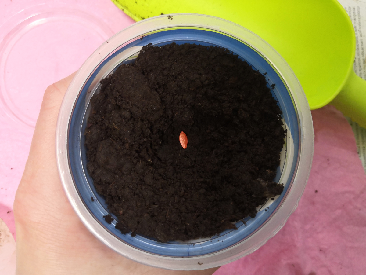 Архив Михаила Рыбинцева