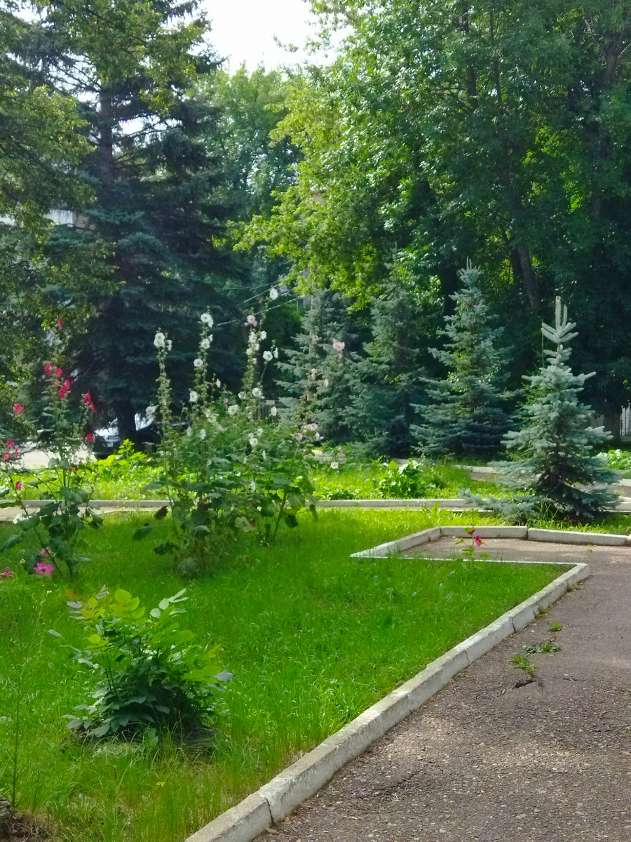 Фото автора