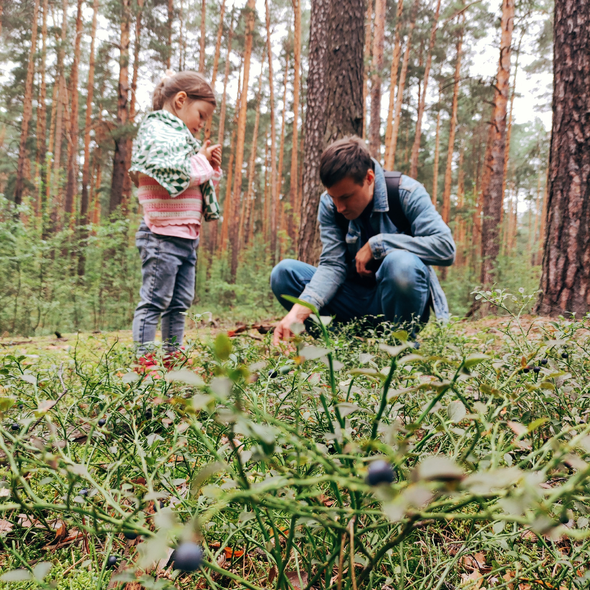 ездили в лес