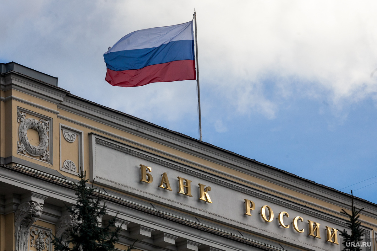 Фото: Владимир Андреев © URA.RU