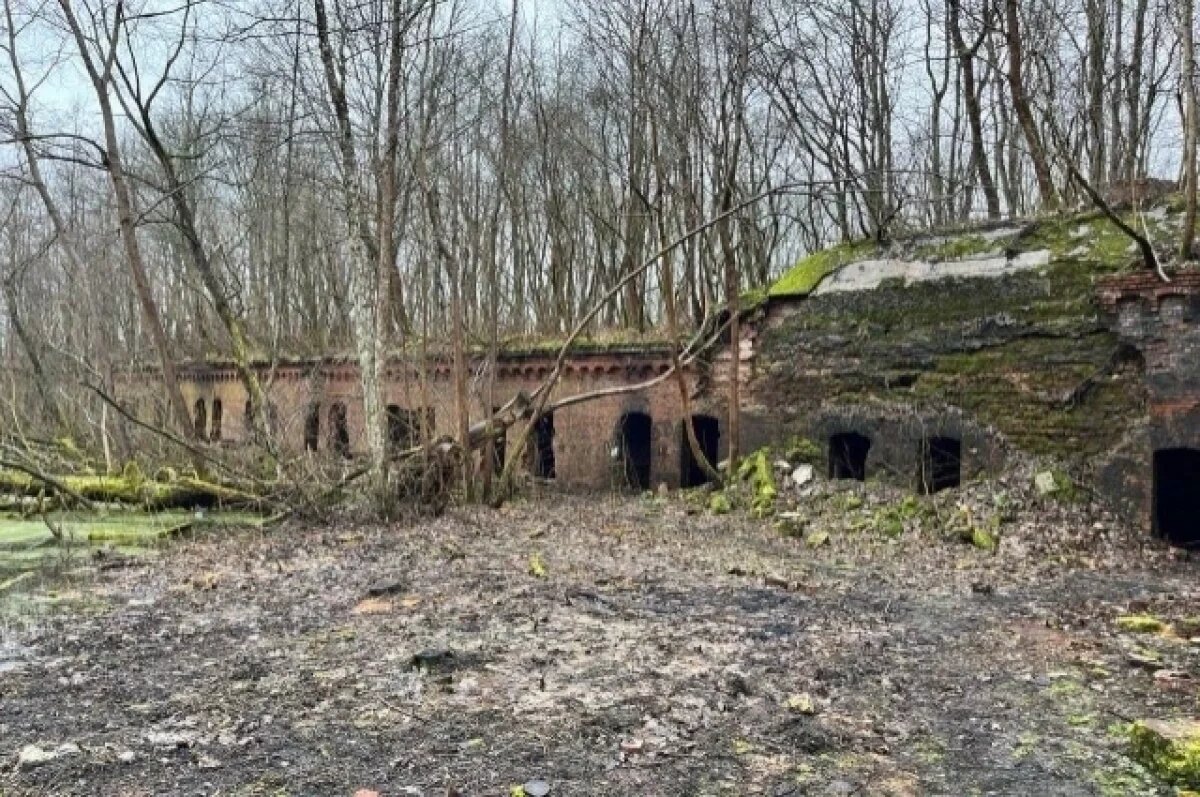    В Калининграде выставят на торги форт 19 века за 1 рубль