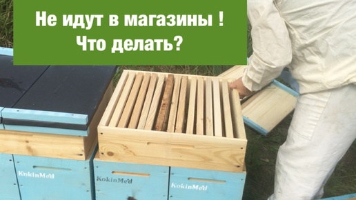 Не идут в магазины ! Что делать?