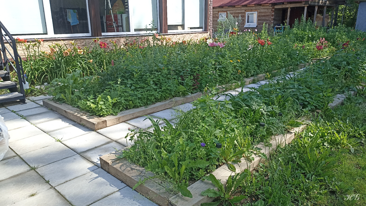 Это клумбы перед домом. 