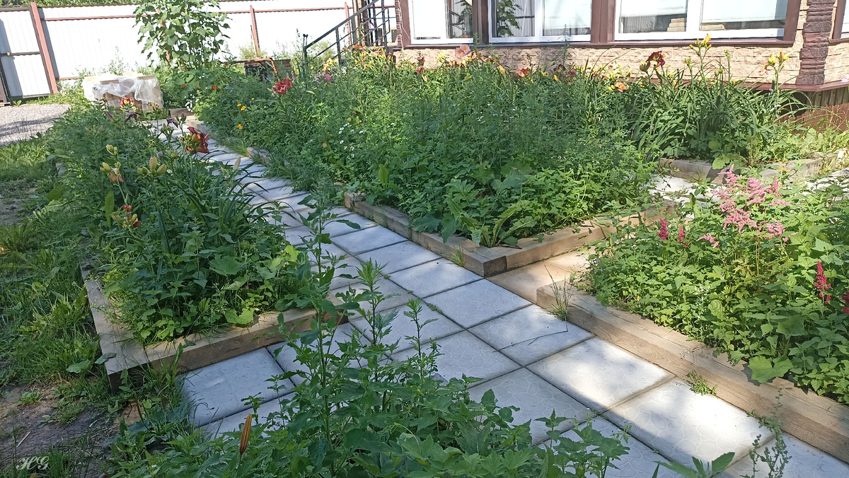 Те же клумбы, но с другой стороны. 