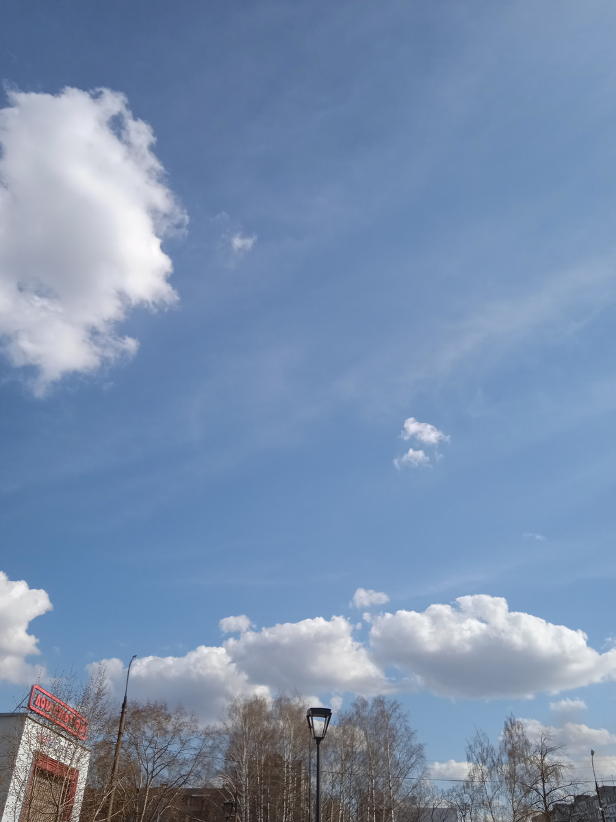 Как-то одним тёплым весенним деньком была сделана эта фотография