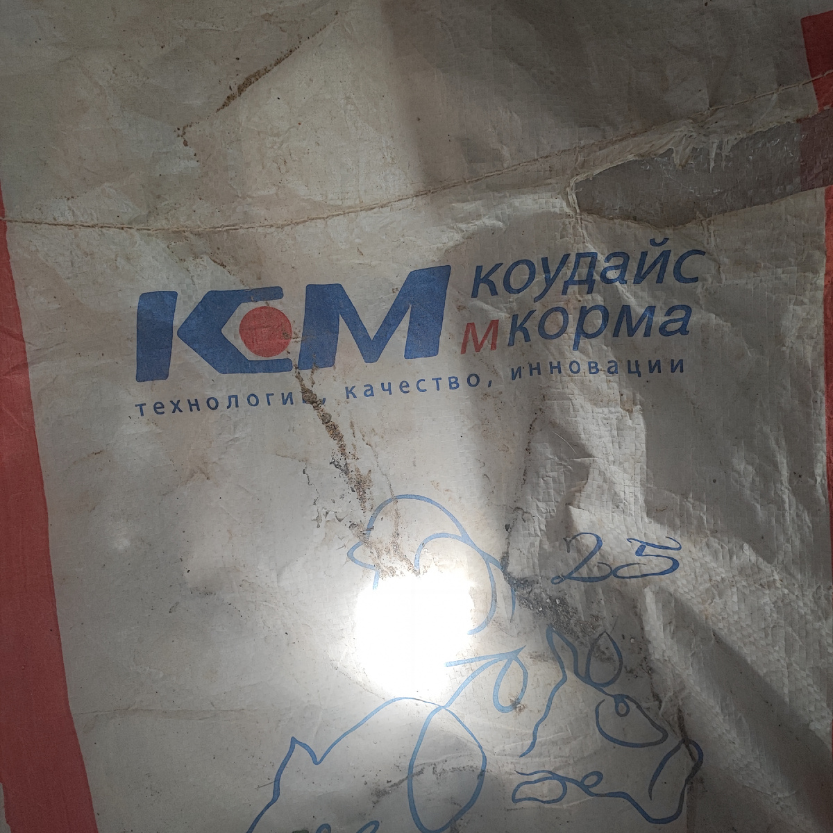 Наш второй корм