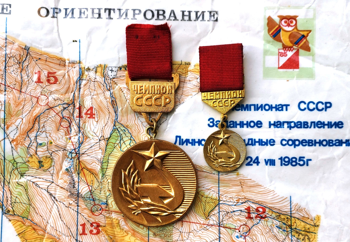 Вот они, наши золотые медали! Со временем они стали только красивее и даже блестят ярче. До сих пор не понимаю, как нам это удалось.