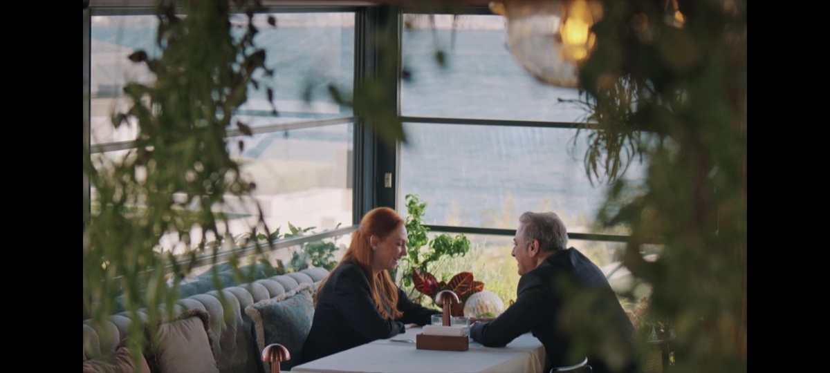 Содержание (чем закончится) 28 серии турецкого сериала "Зимородок 2" (2024)