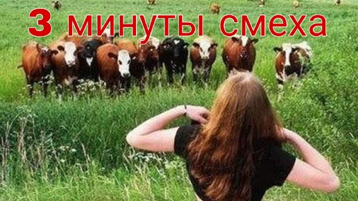 Смешные моменты попвшие на камеру. Часть 49.