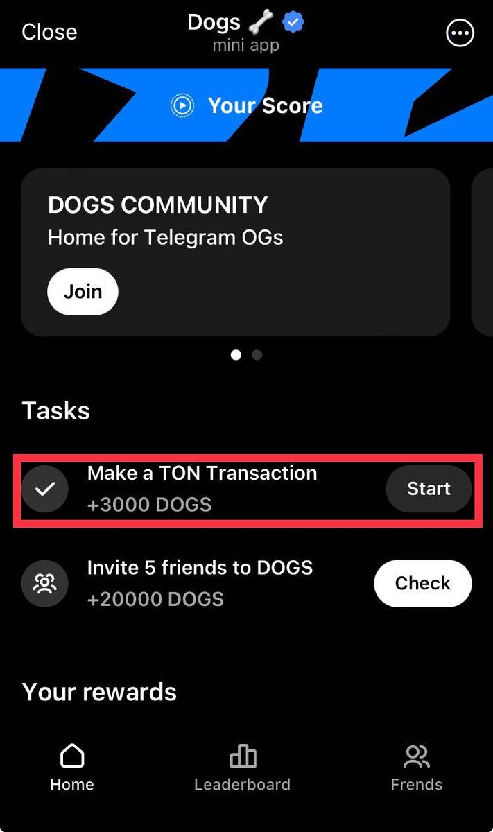 Новое задание в DOGS.