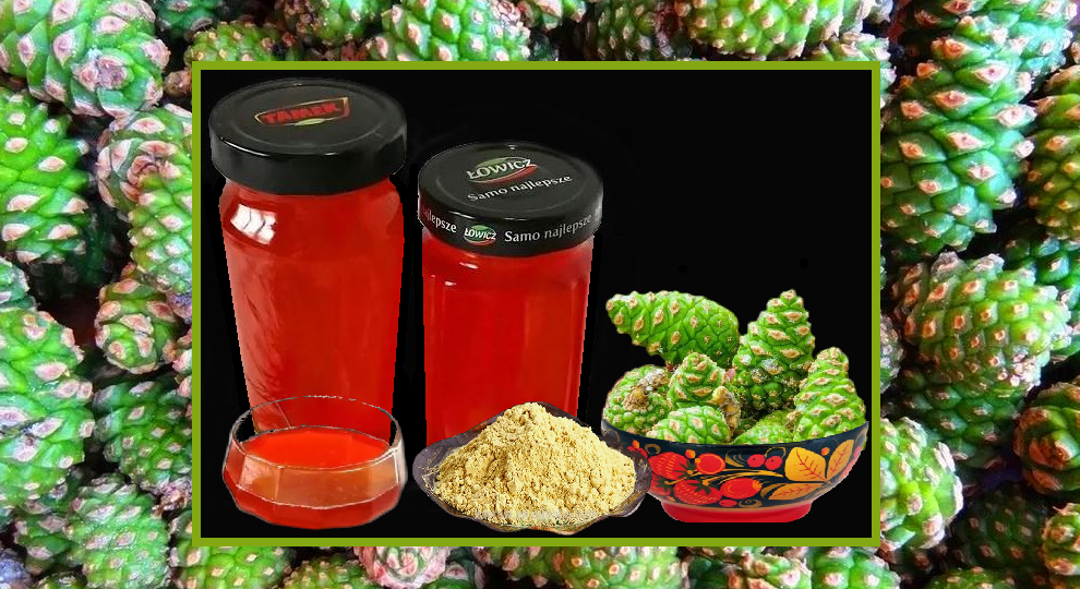 Чудодейственное варенье из шишек сосны