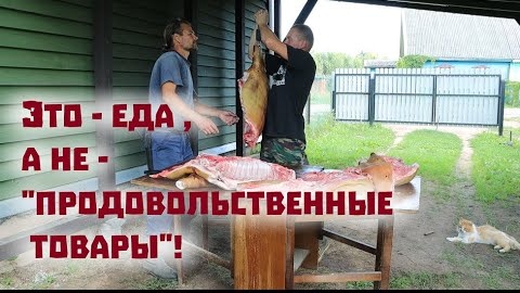 Необычный гость в нашей деревне. Пчелы и пчеловодство. Получиди много еды и другие новости из нашей деревни