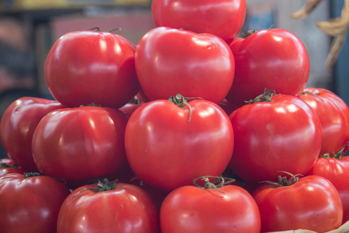 @Sputnik/Asatur Yesayants